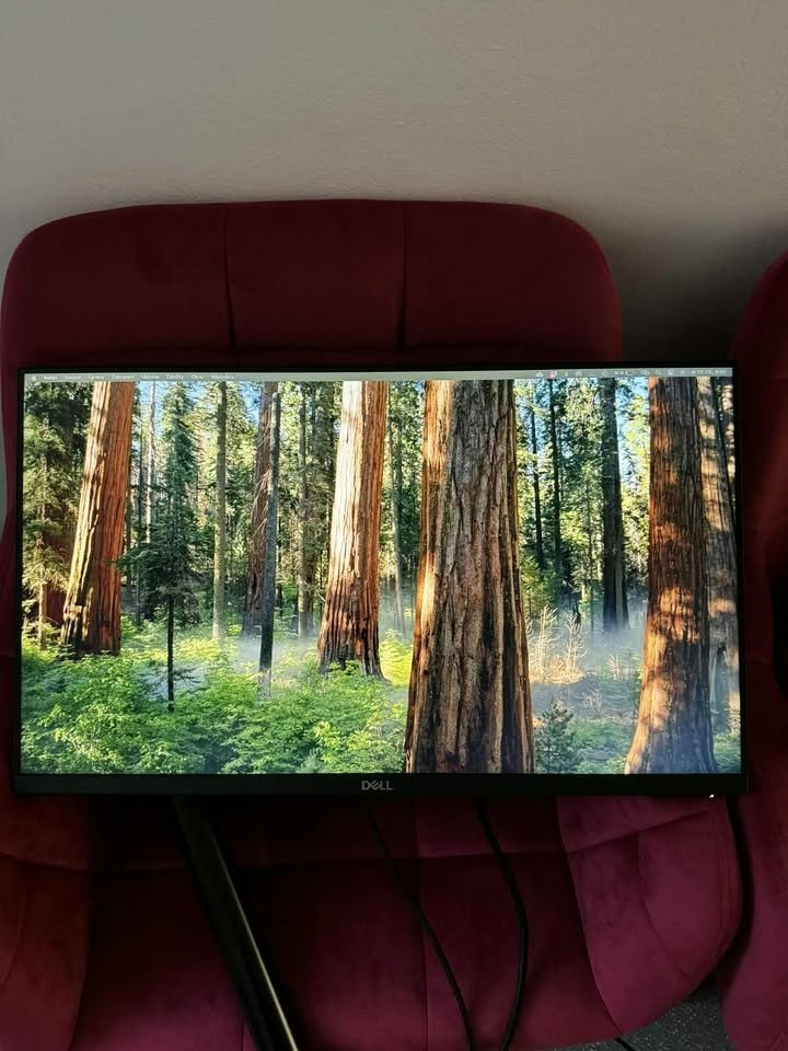 Dell UltraSharp 5/2020 24"+kloubové rameno - 4