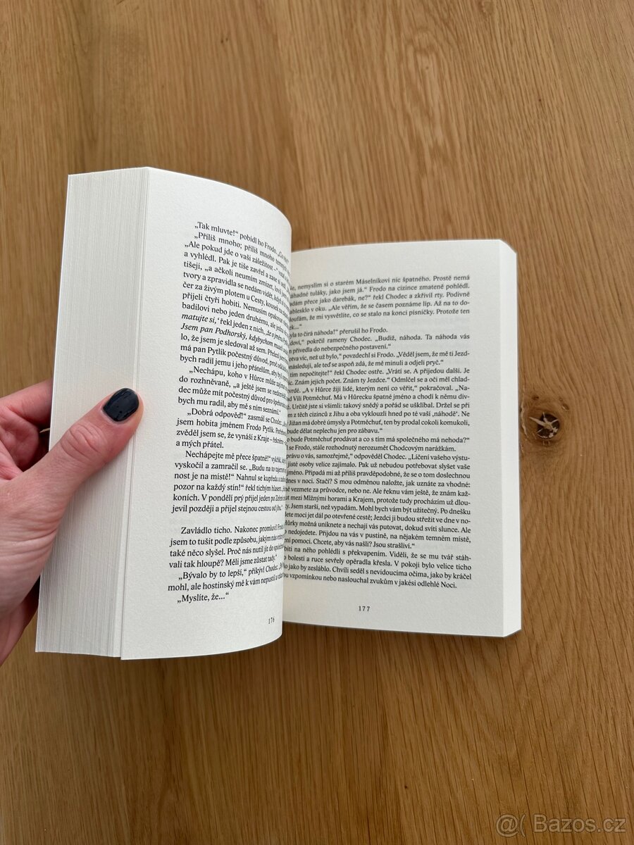 Kniha Pán prstenů Společenstvo prstenu - 4