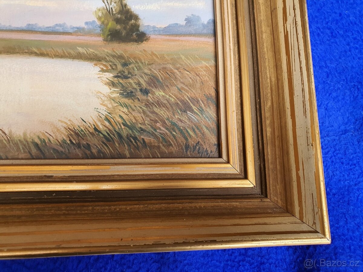 Obraz ak.malíř Václav Vejr – Blata, perfektní stav, sklo - 4