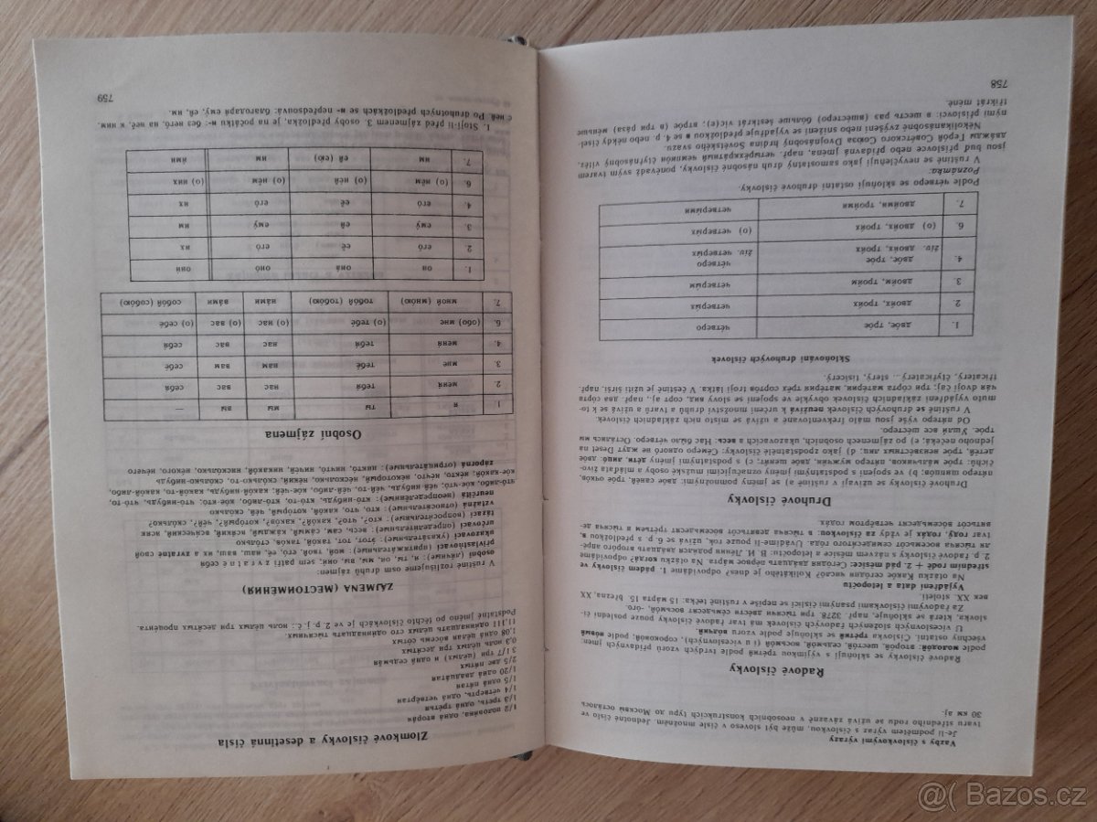 RUSKO-ČESKÝ slovník - 4