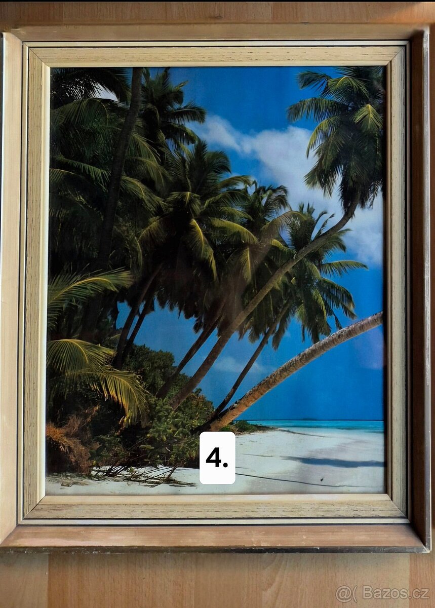 Obrazy tropické pláže - 4