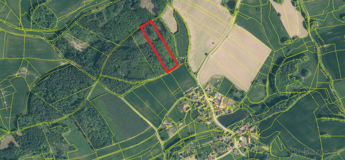 Prodej lesa Klisinec 9634m2 - 4