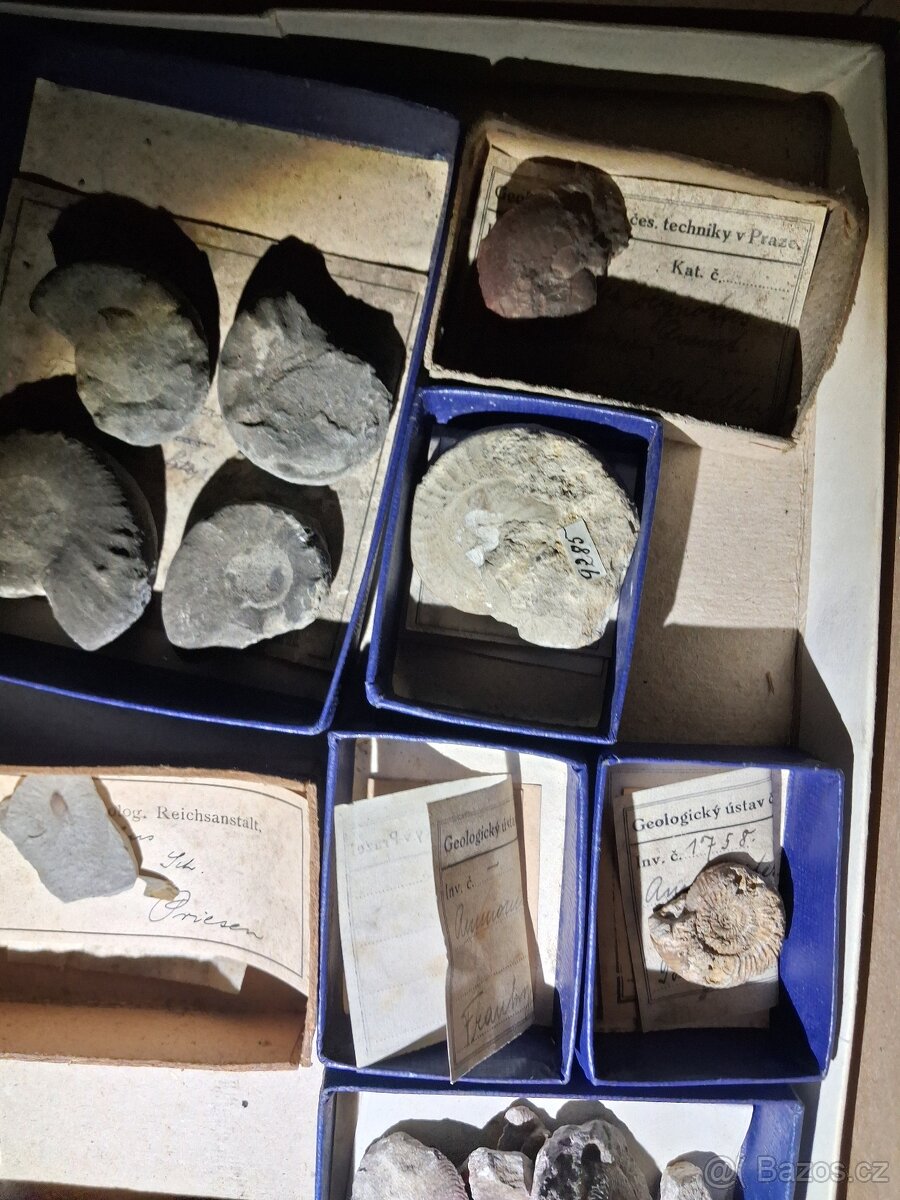 Zkameneliny a Minerály - 4