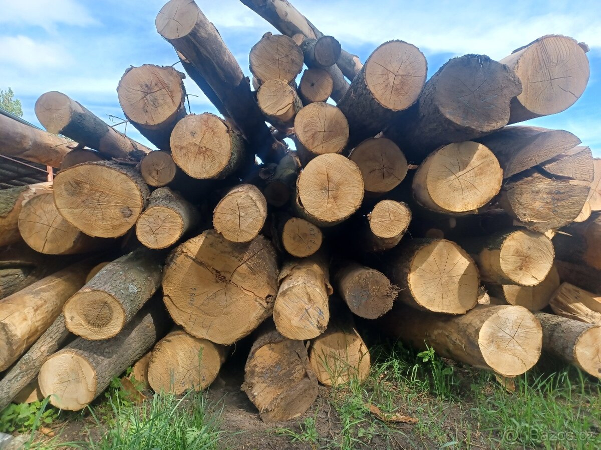 Palivové dřevo - 4
