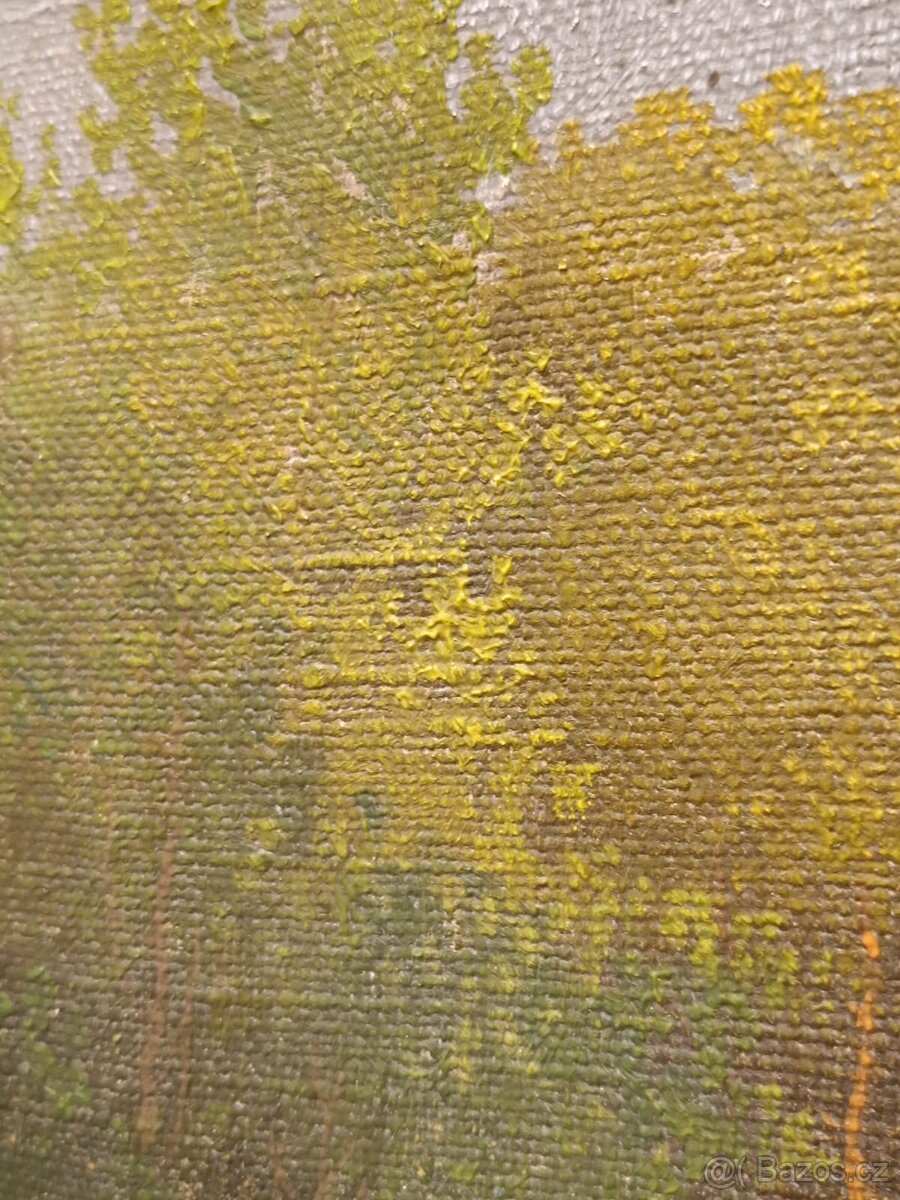 Obraz Augustin Josef Ekart, olej 54x69 - 4