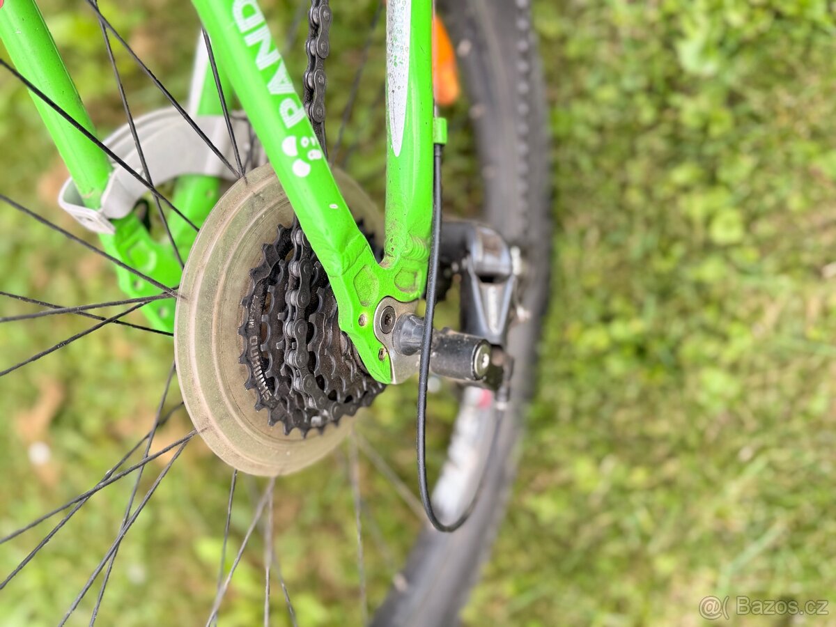 Superior 24” -Panda - 4