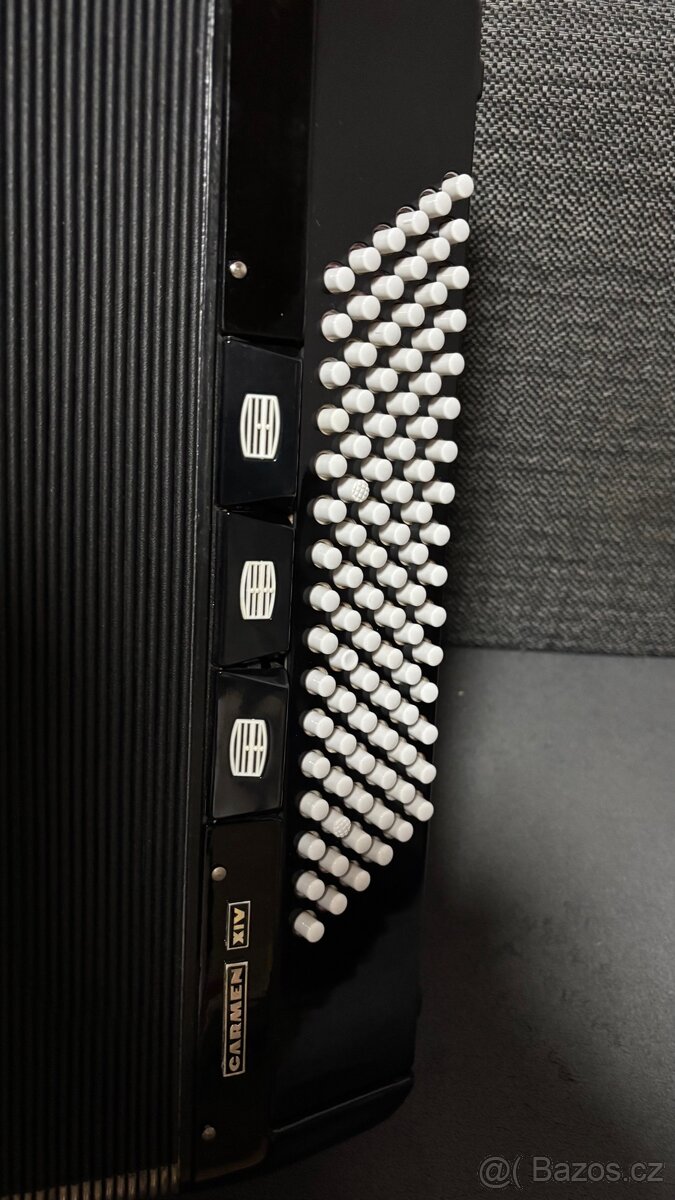 Delicia Carmen XIV (14) - 4