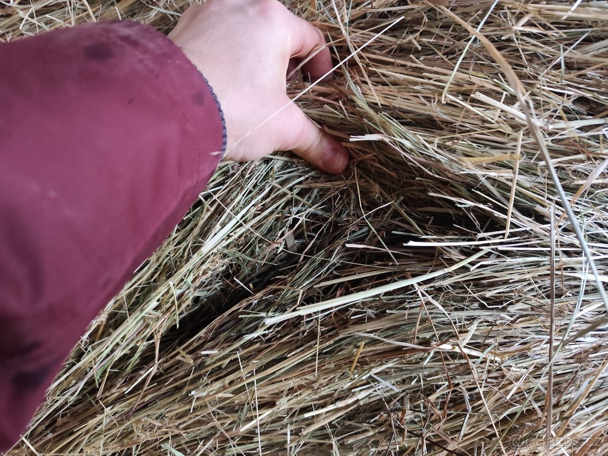 Ustájení České Budějovice - 4