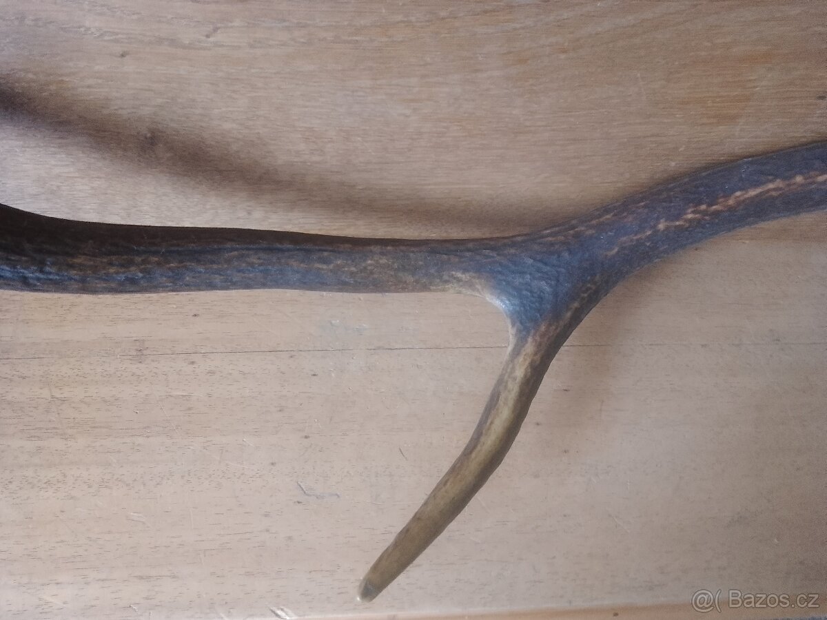 Věšák s parožím - 4