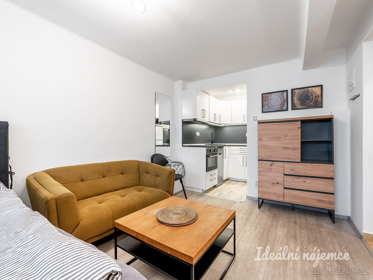Pronájem bytu 1+kk, Za Strahovem, Břevnov, 17500 Kč/měs, 24 - 4