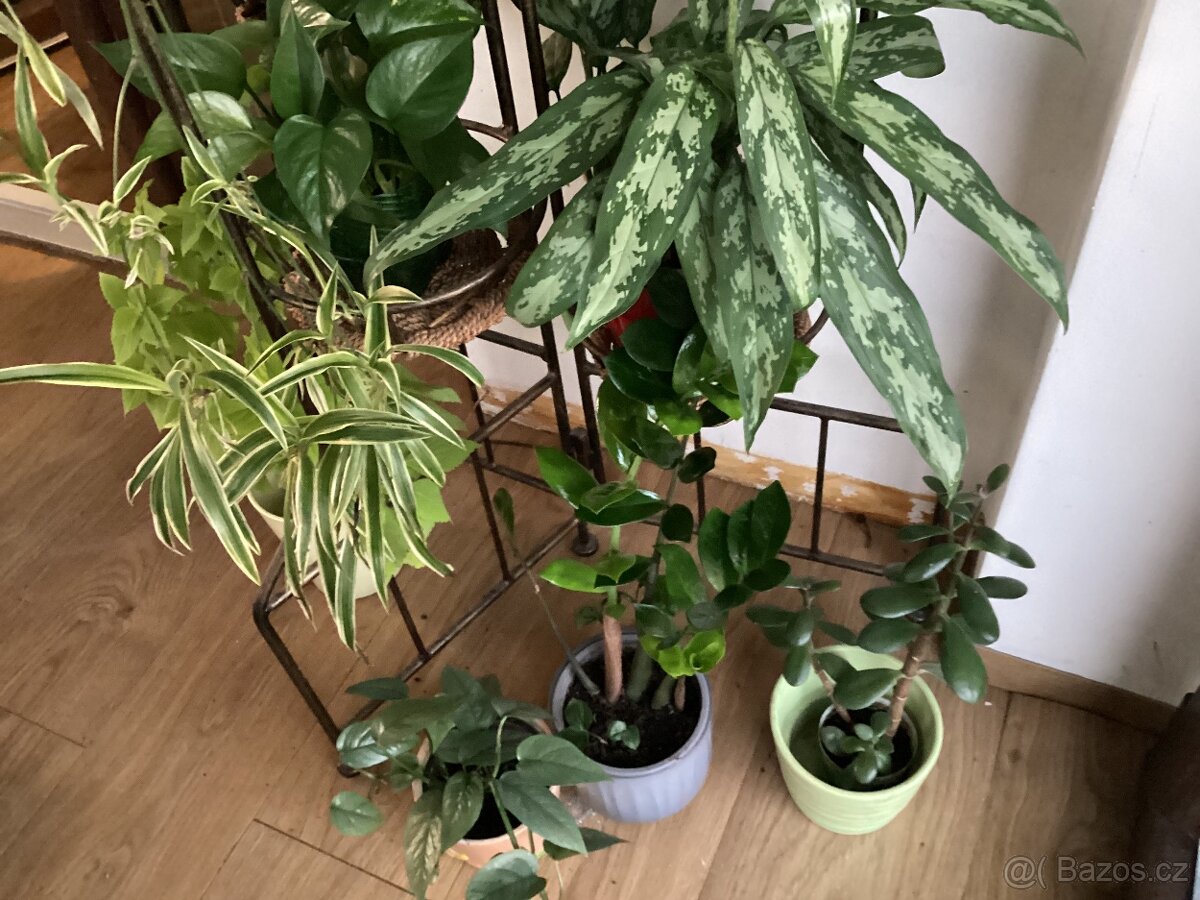 Květinový koutek - 4