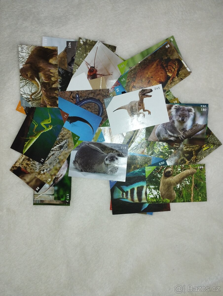 různě samolepky a kartičky - 4