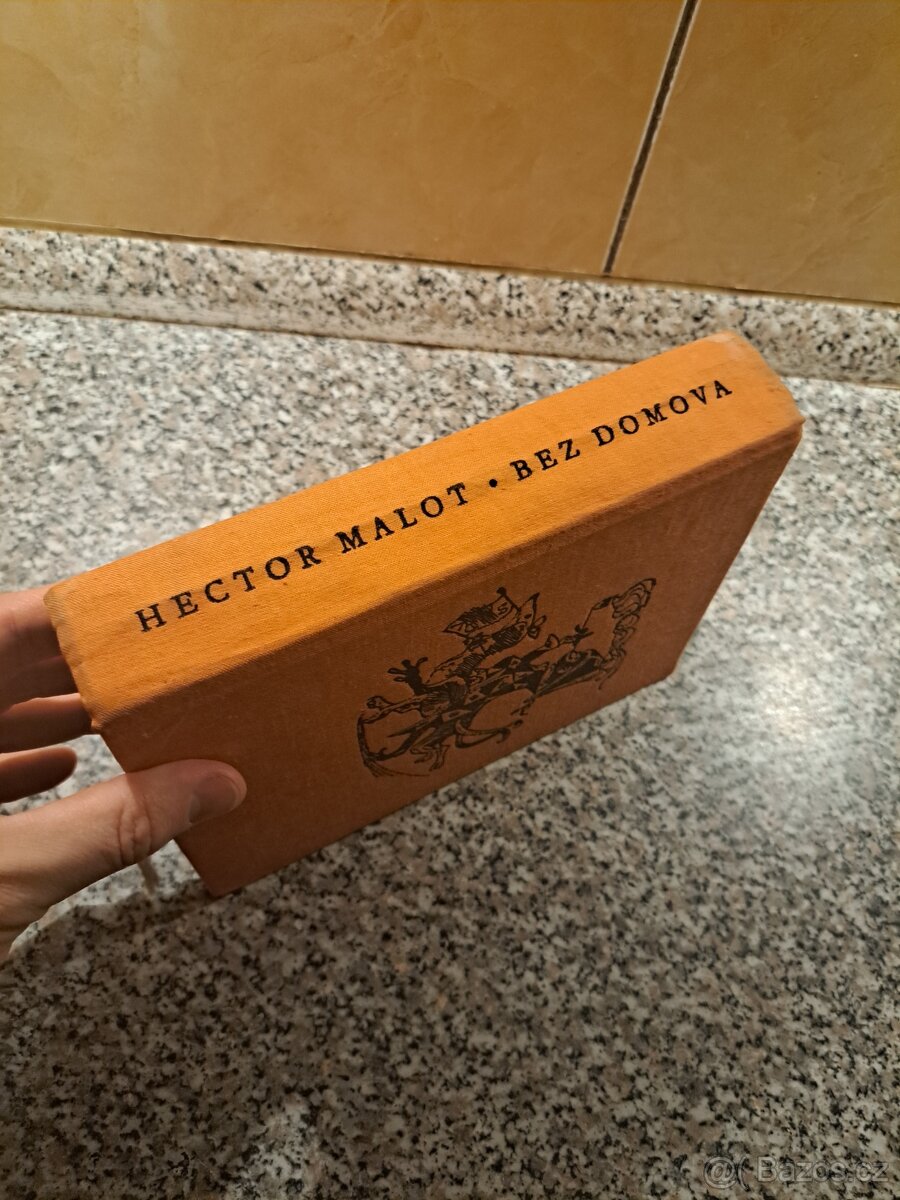Bez domova - Hector Malot - 4