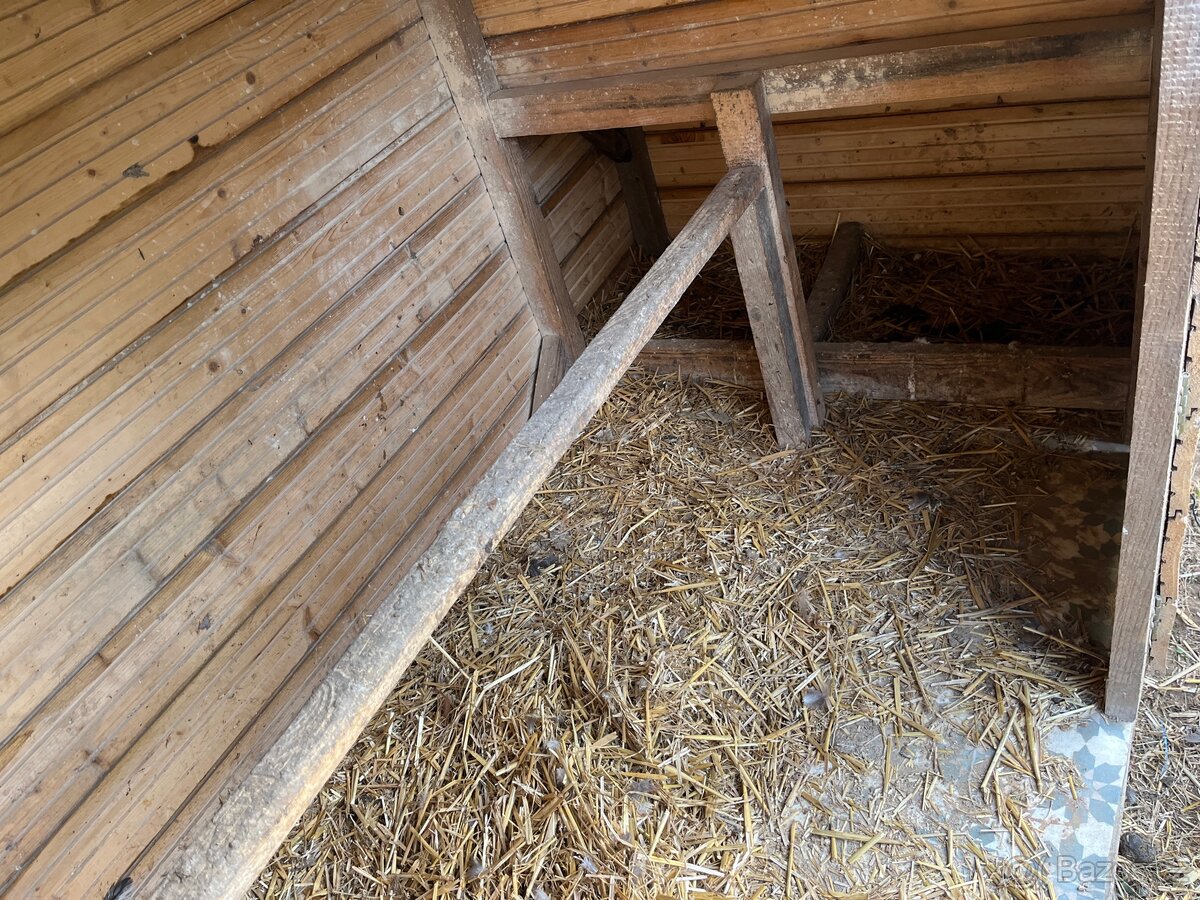 Kurnik - 4