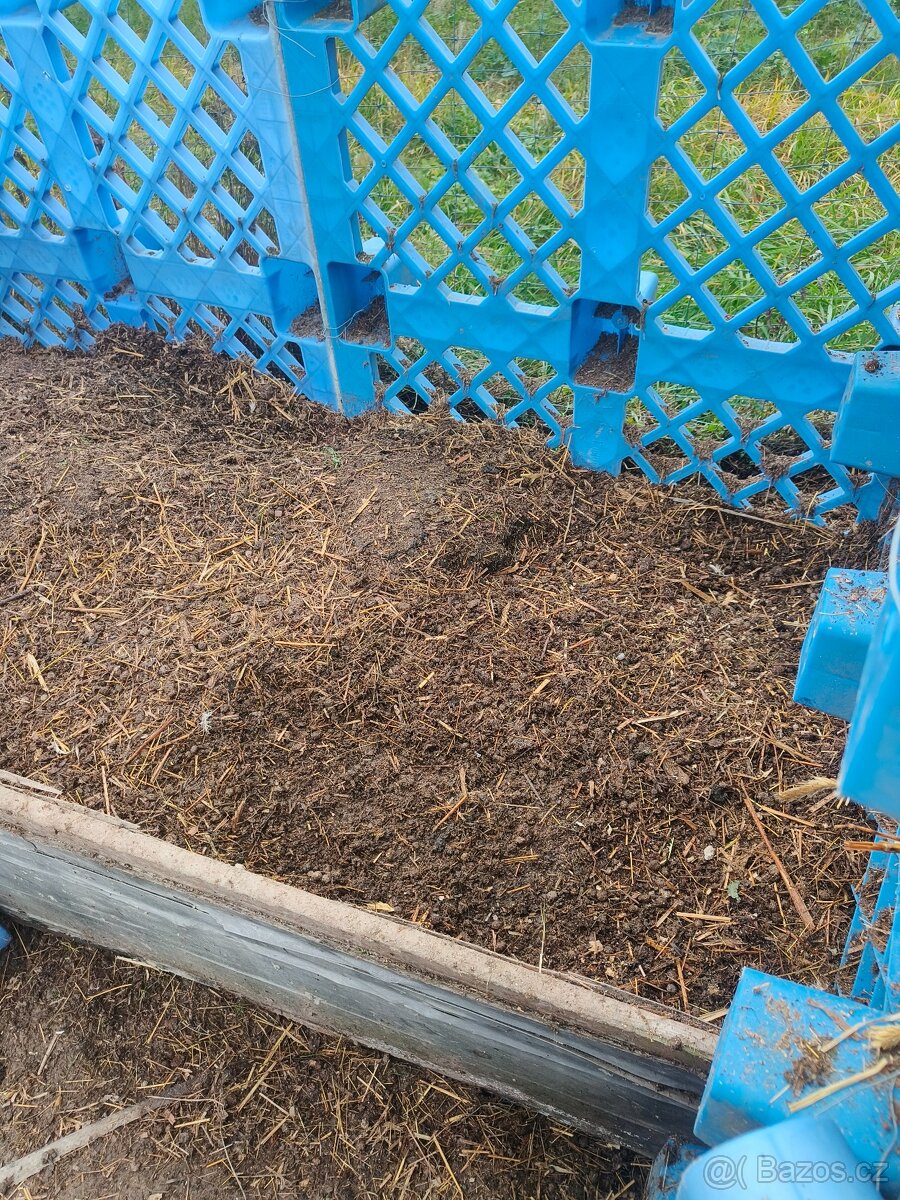 Prodám uleželý králičí hnůj - 4