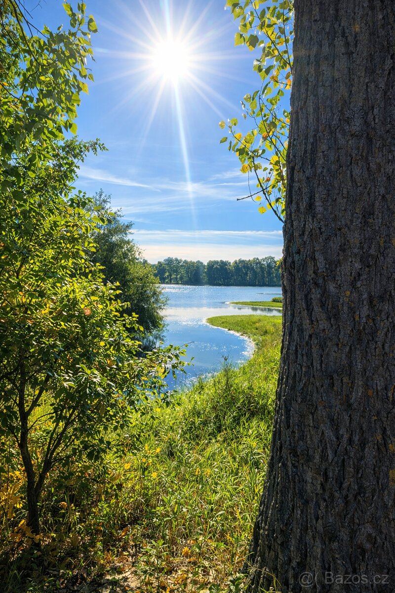 Na samotě u rybníka - 4