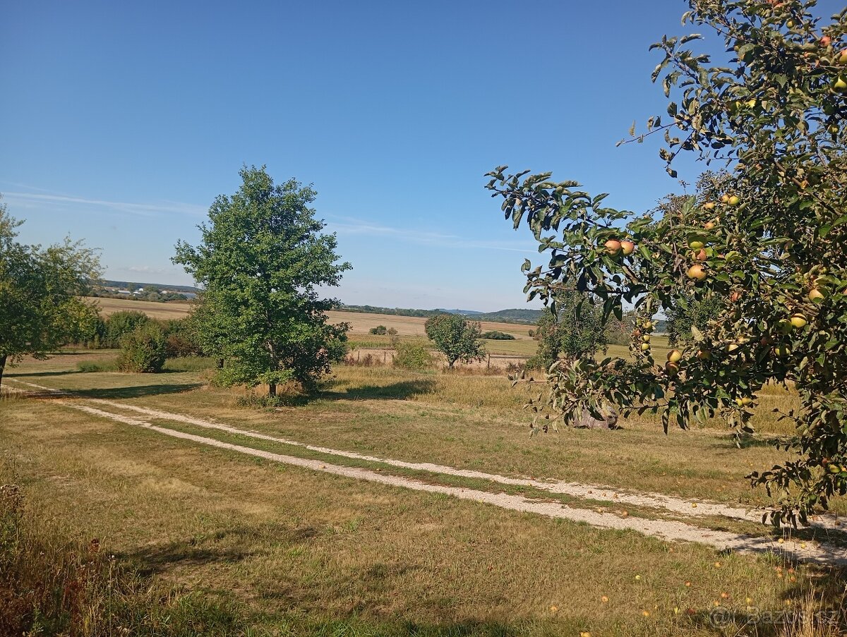 Prodám zahradu u obce Převýšov - 4