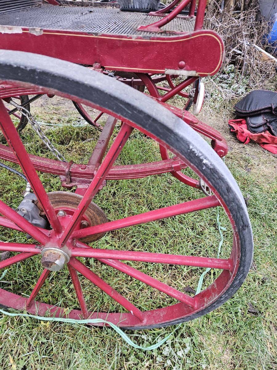 Prodám závodní kočár - 4