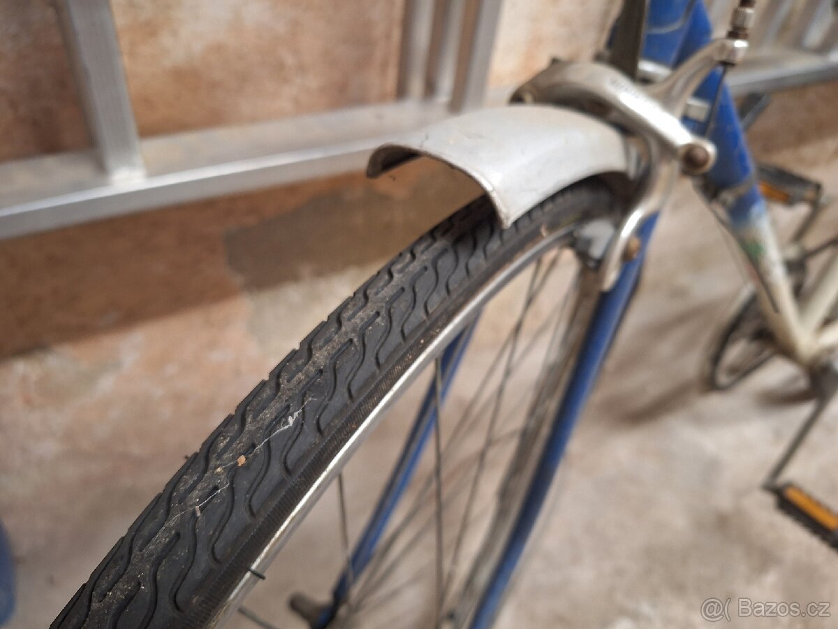 Eska závodnička - 4