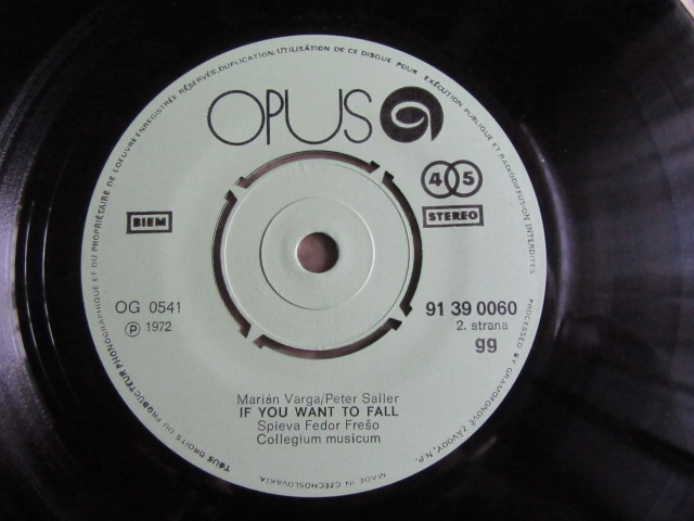 SP Collegium Musicum - If you Want to Fall - 4