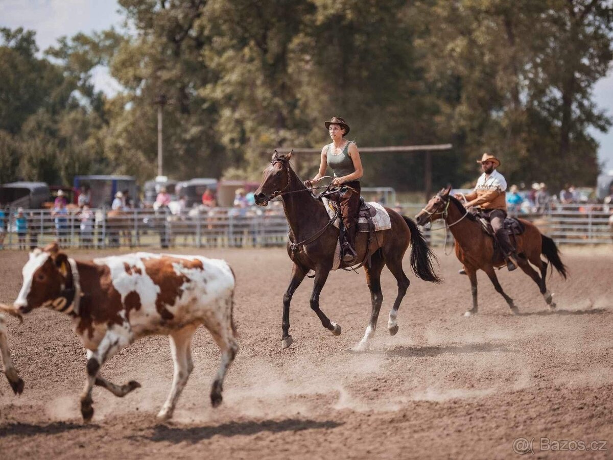 Klisna A1/1 9let - 4