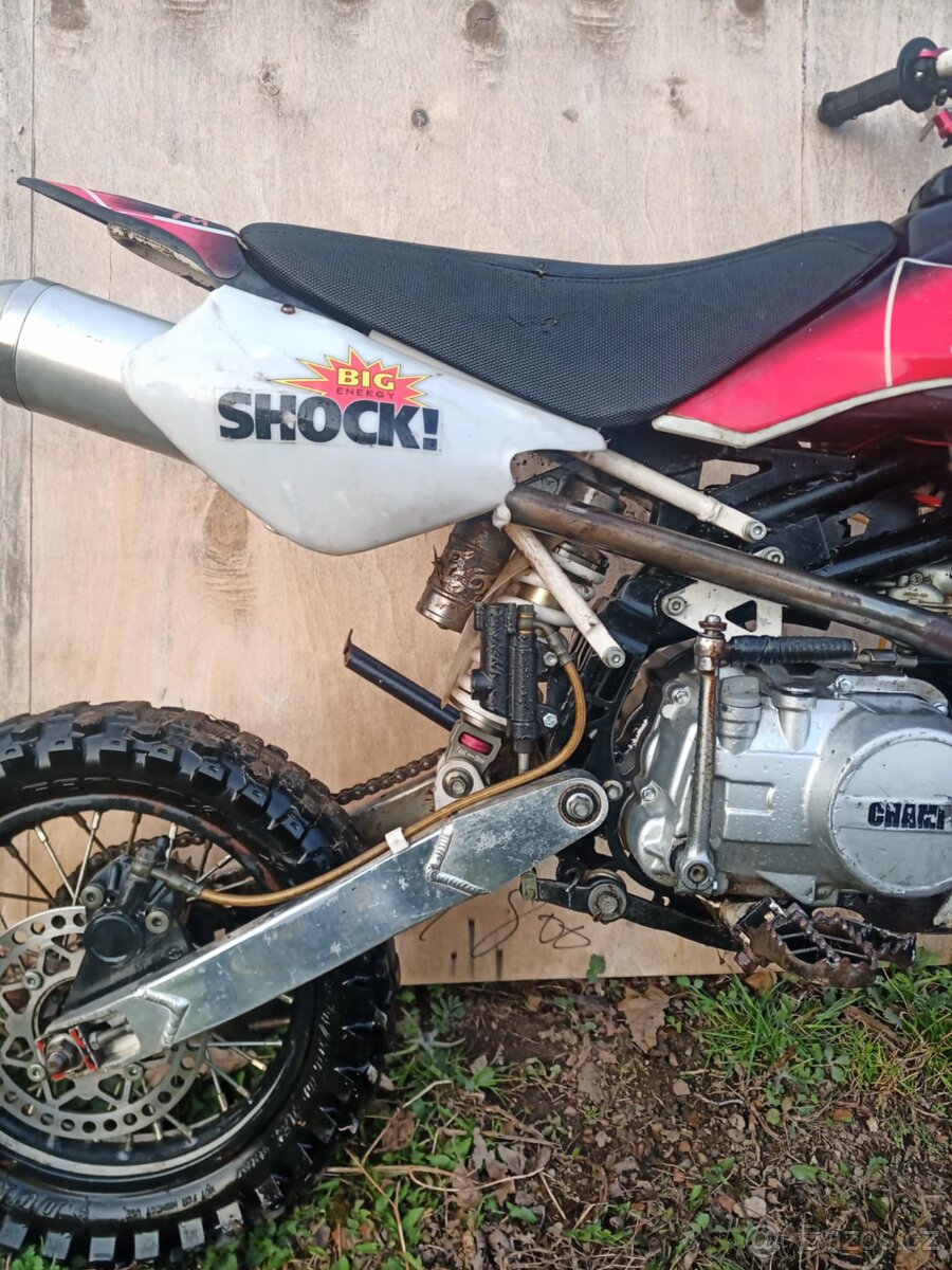 Pitbike champs 125ccm