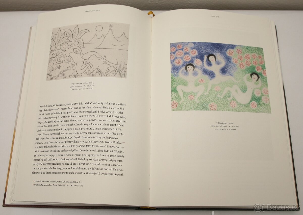 Jan Zrzavý - Božská hra (2012) - 4