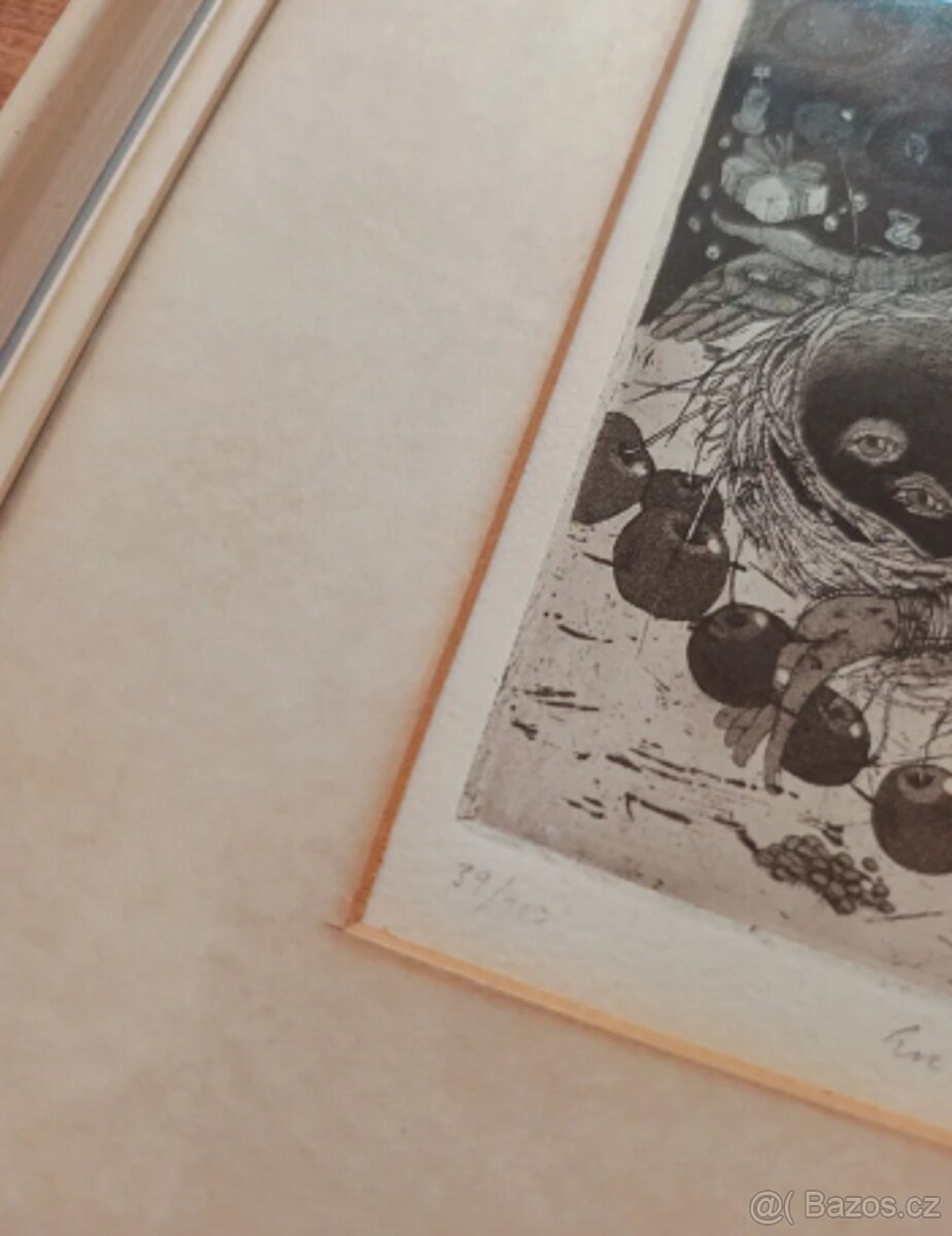 Obraz Eva Haškova 1981 - 4