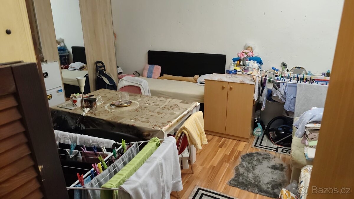 Pronájem bytu 2+1 Hrušovany u Brna - 4