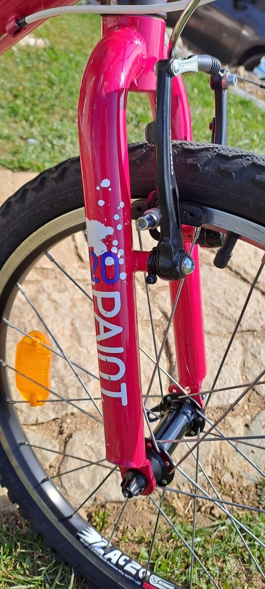 Superior Paint 20" - TOP STAV - 4