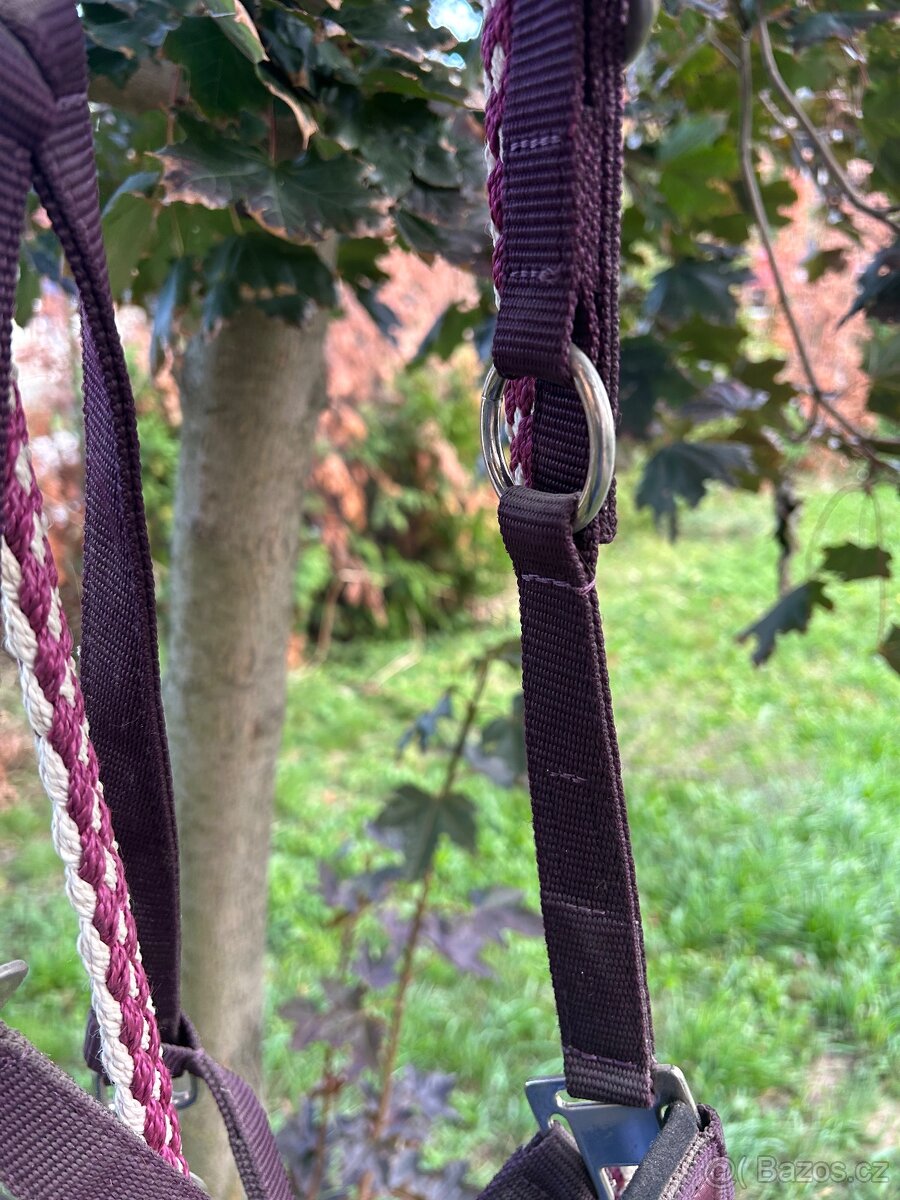 Eskadron ohlávka + vodítko vínová - 4