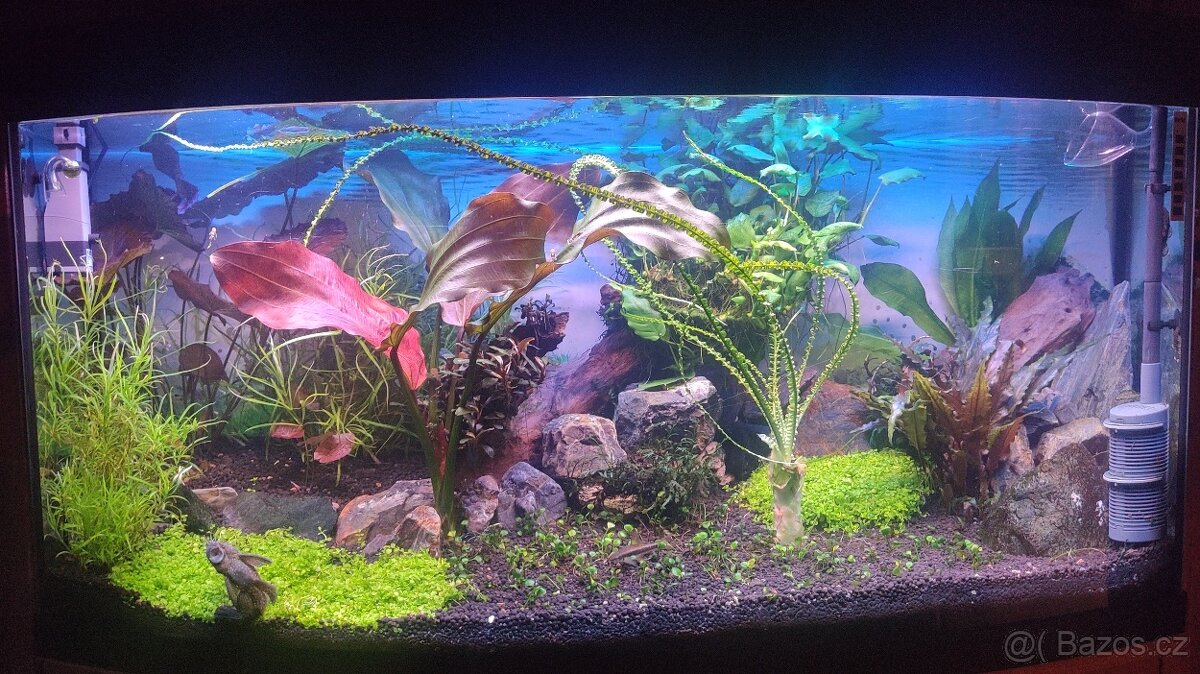 Prodám akvárium Juwel Vision 260 LED s kompletní výbavou - 4