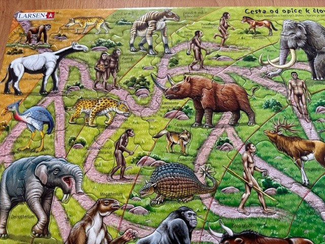 Puzzle: Cesta od opice k človeku - 4