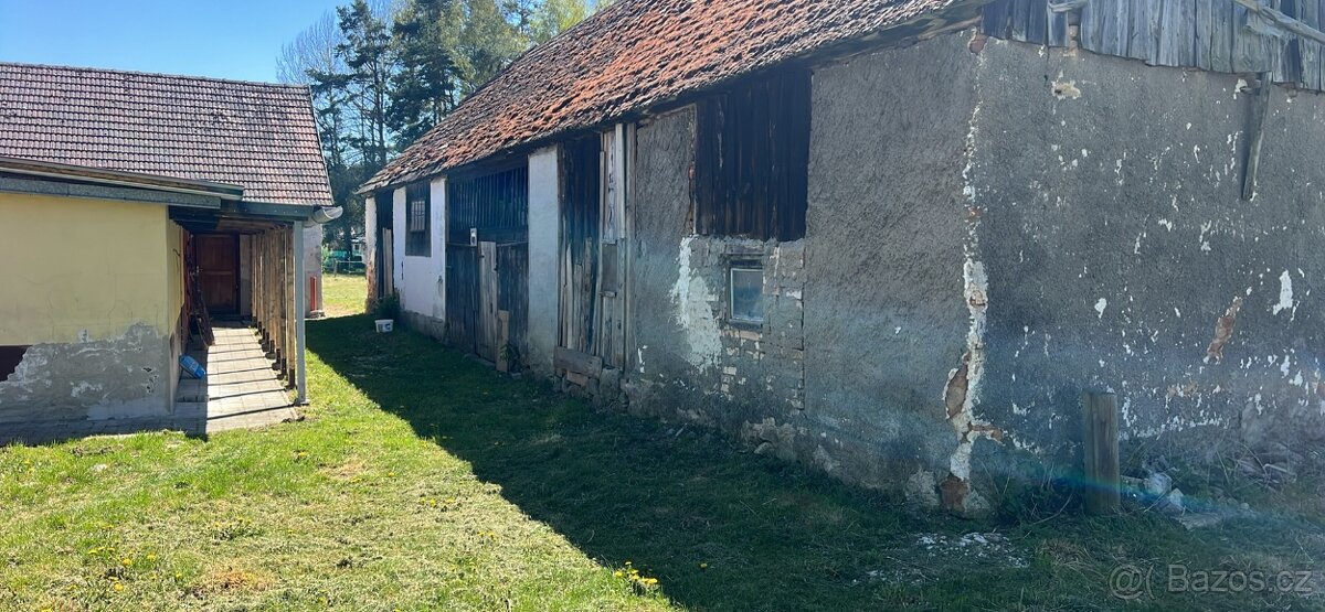 PRONÁJEM STÁJE PRO KONĚ - 4