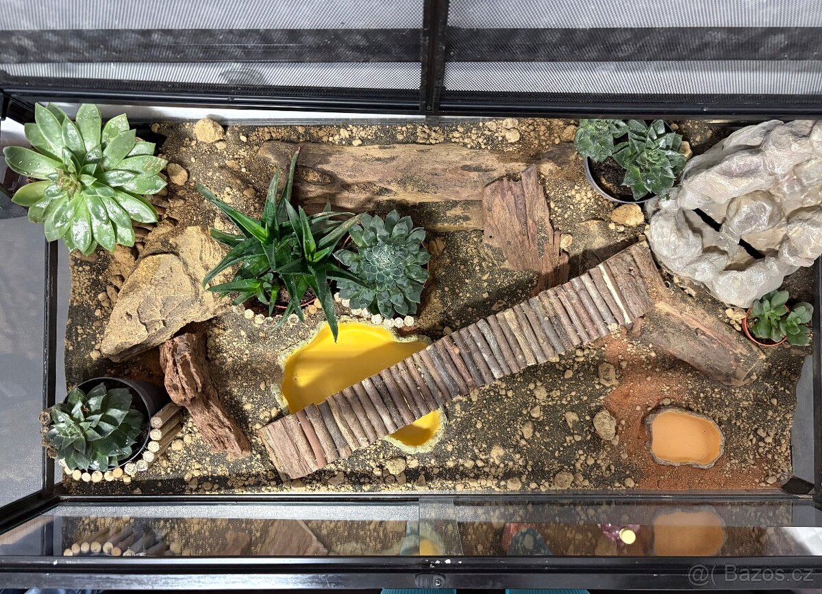 Kompletní terárium ReptiPlanet – plně vybavené - 4