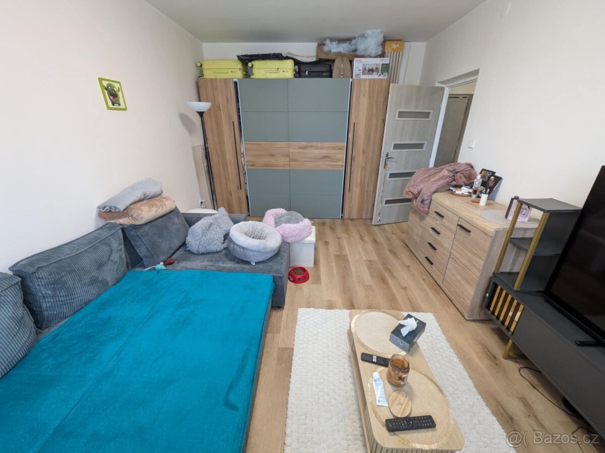 Prodej bytu 2+1 DV, ul. Vrchlického, Chomutov - 4