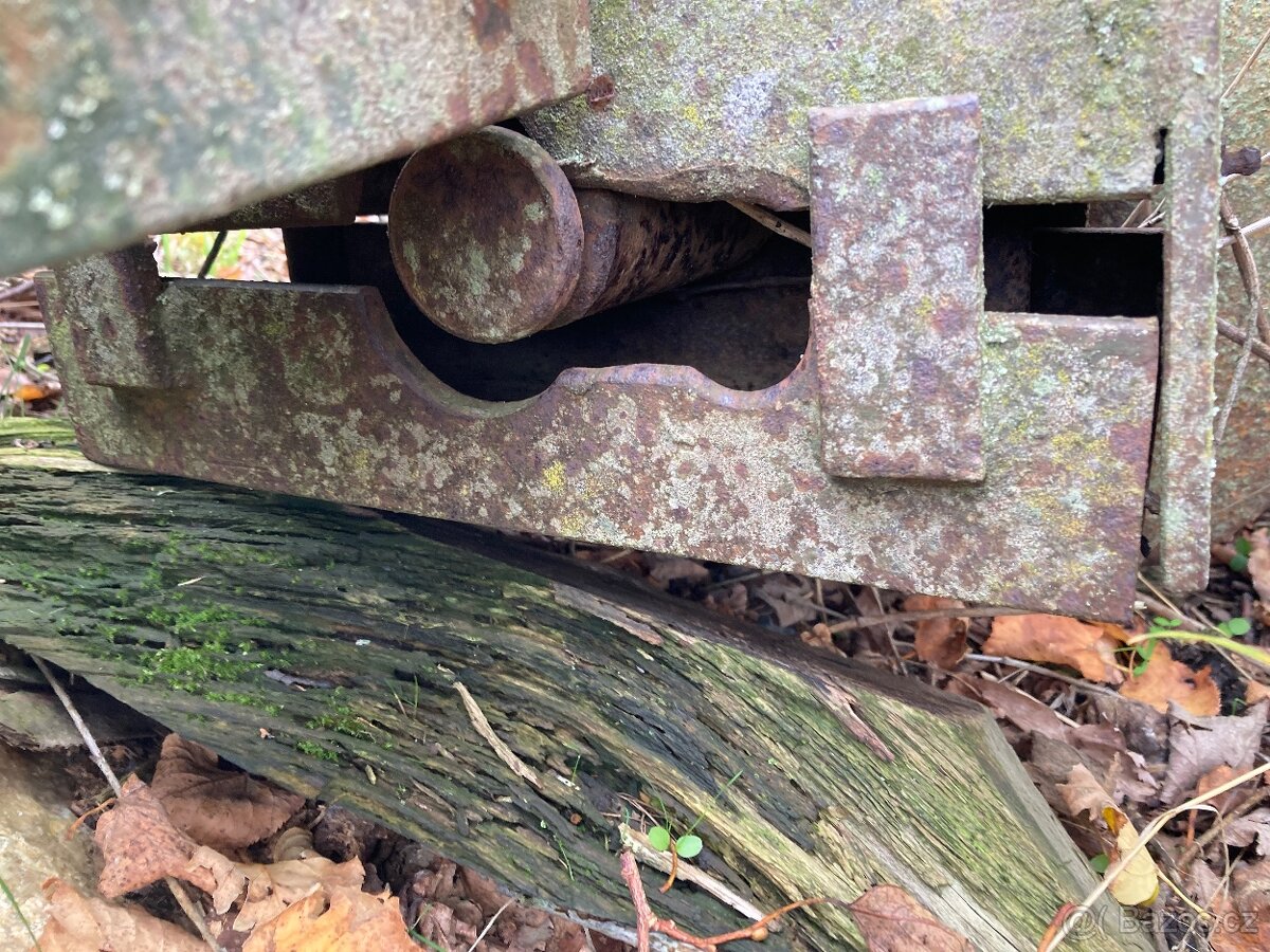 Hrudořezy, vajíčka - 4