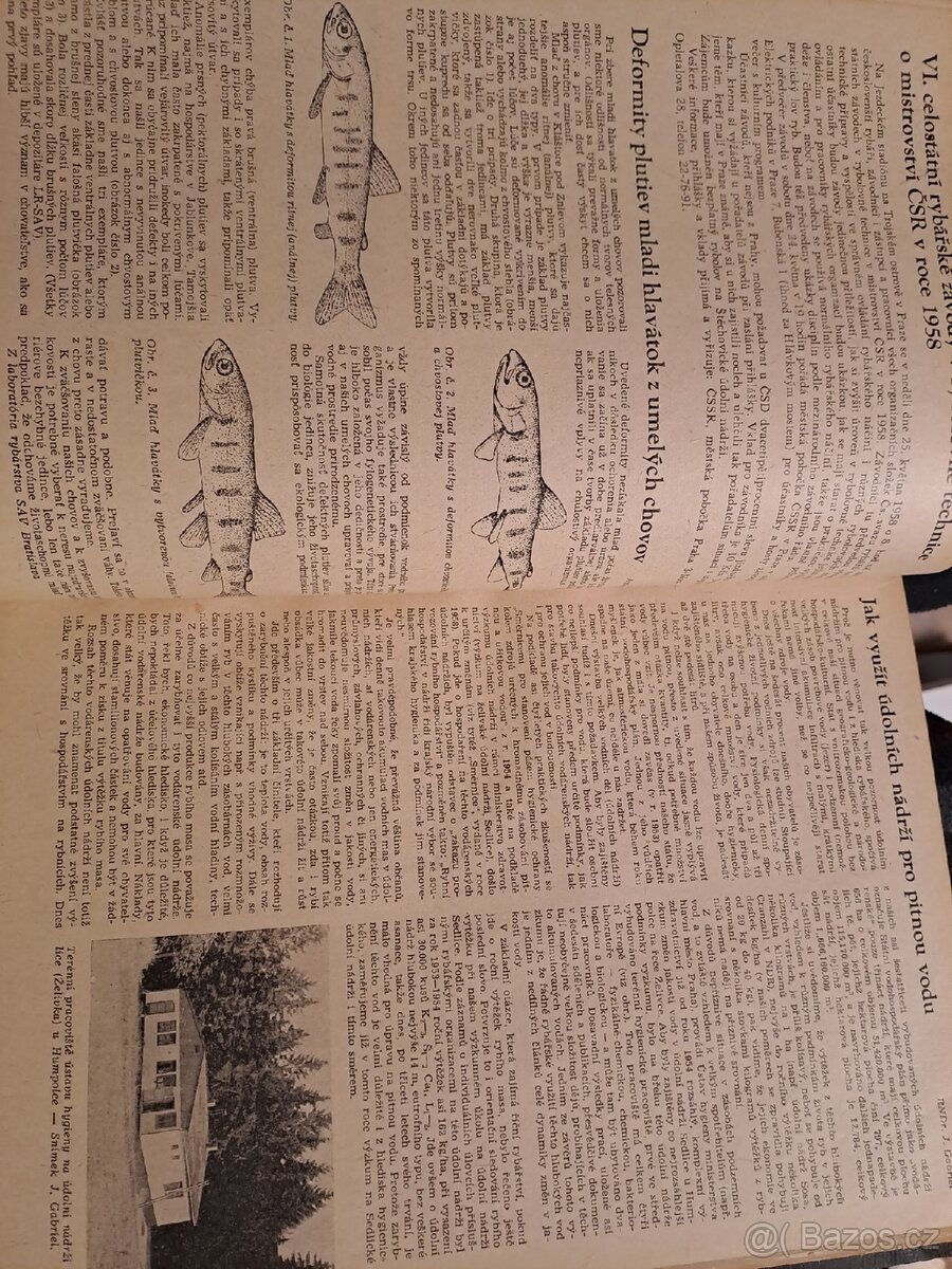 Časopis Rybářství - 4