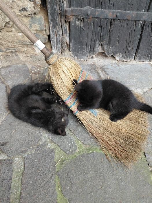 Pět čertíků z Vítkova - 4