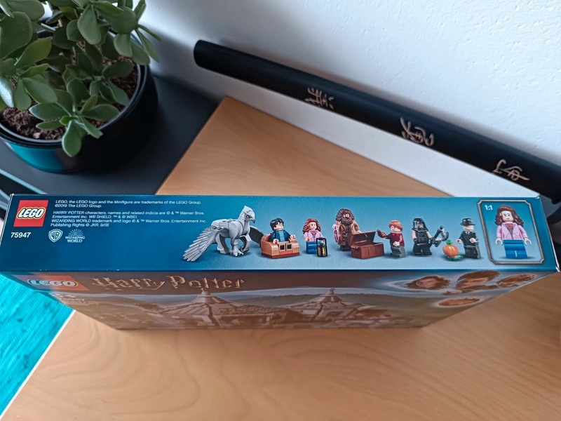 ☘️ LEGO Harry Potter 75947 Hagridova bouda: Záchrana Klofana - 4