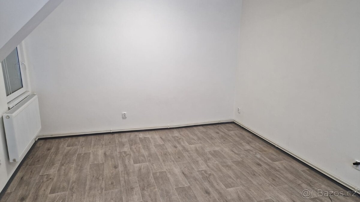 bez realitky 4+KK v Novém Boru - 4