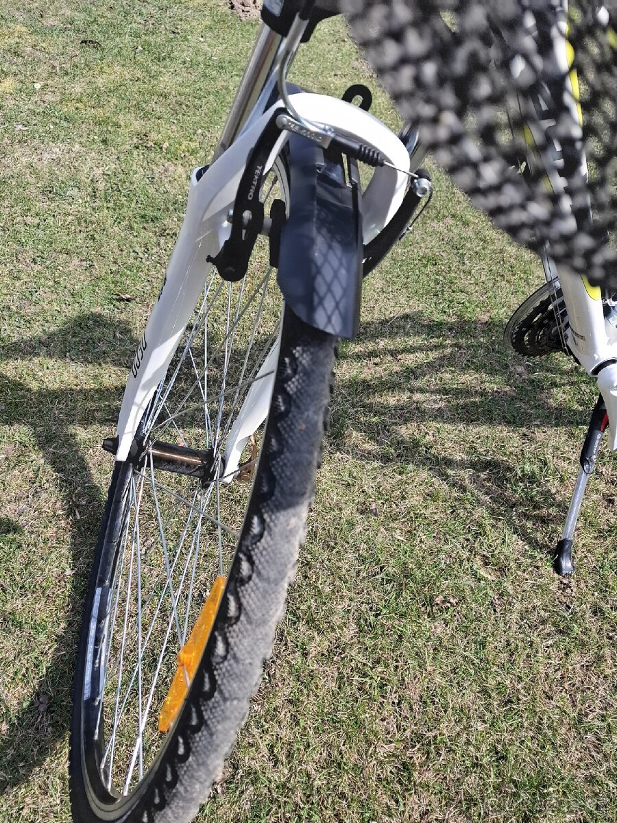 Dámské kolo Author - 4