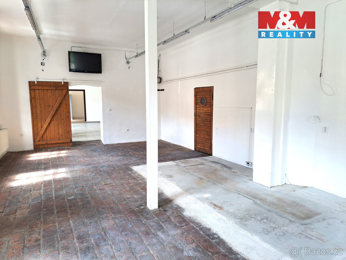 Pronájem obchodního prostoru, 221m2, ul. Riegrova, Brno - 4