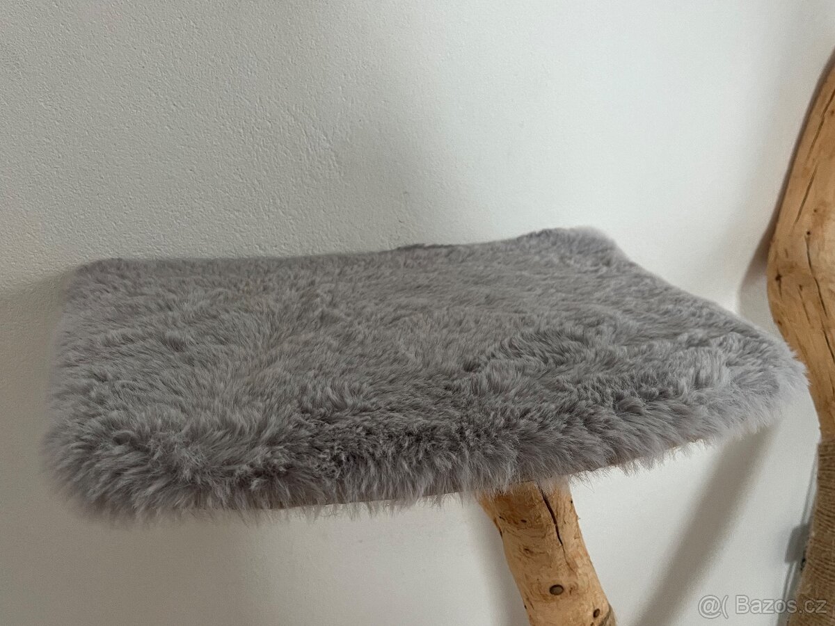 Kočičí strom z masívu - 4