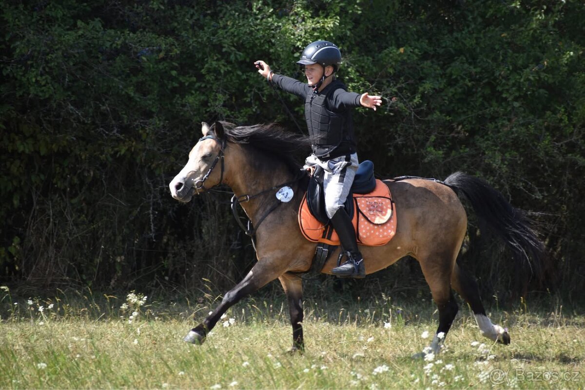První pony pro děti - 4