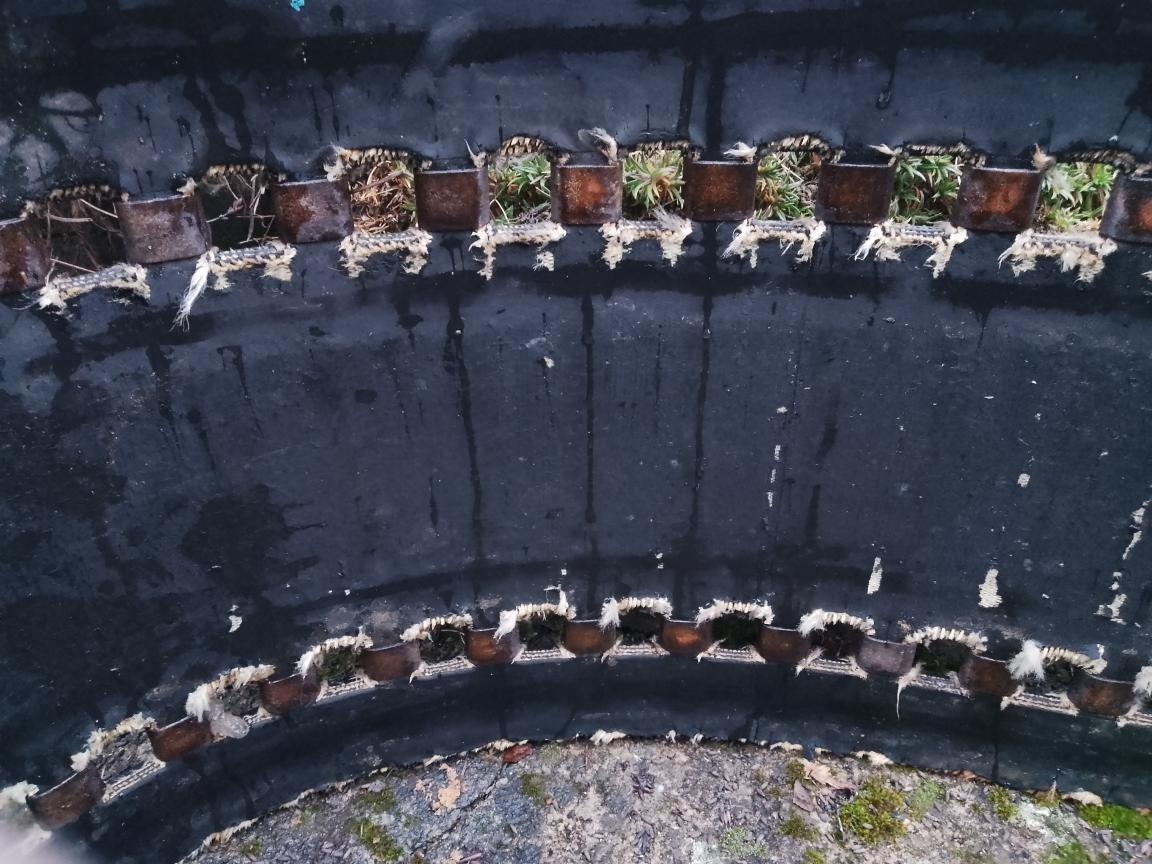 Sněžný skútr Buran pásy - 4