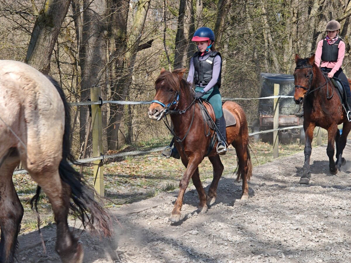 Školní pony - 4