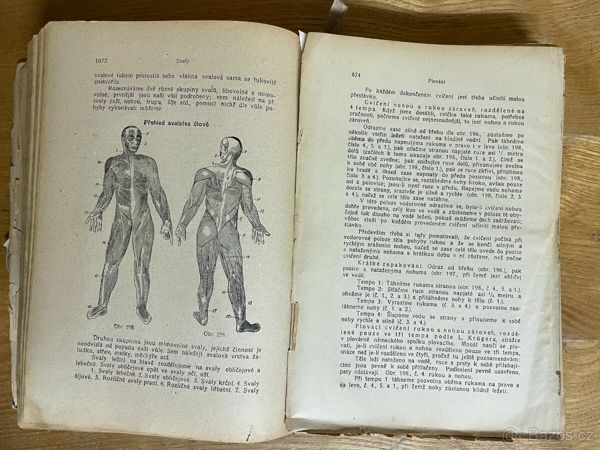 Bilzovo nové léčení přirozené první vydání 1897 - 4