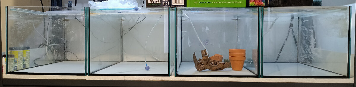 Akvária - 58x36x30 cm - 4