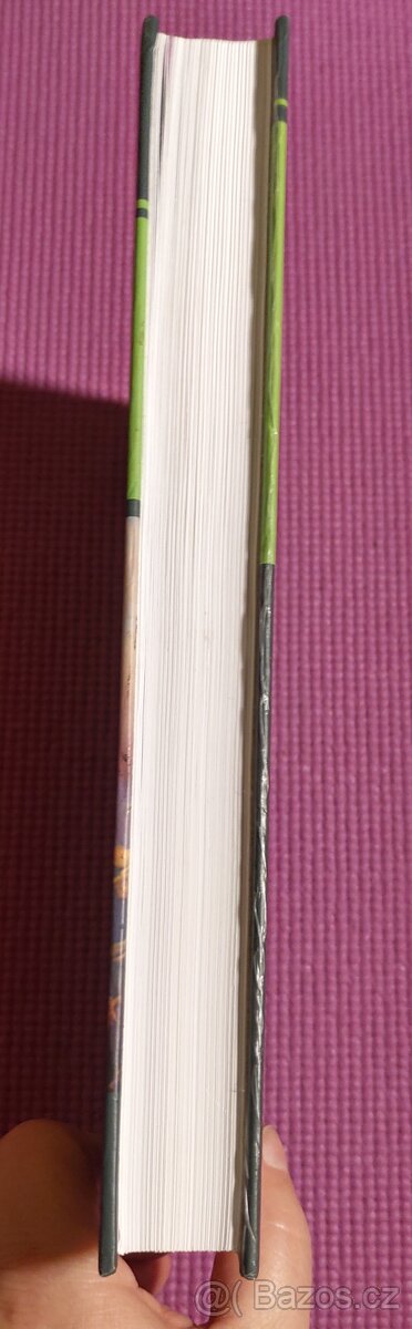 Současná klinická psychologie - 4